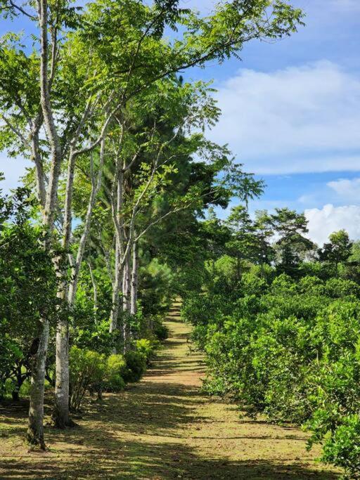 Hospedaje Finca Agroturistica Dona Rufa Rio Sereno ภายนอก รูปภาพ