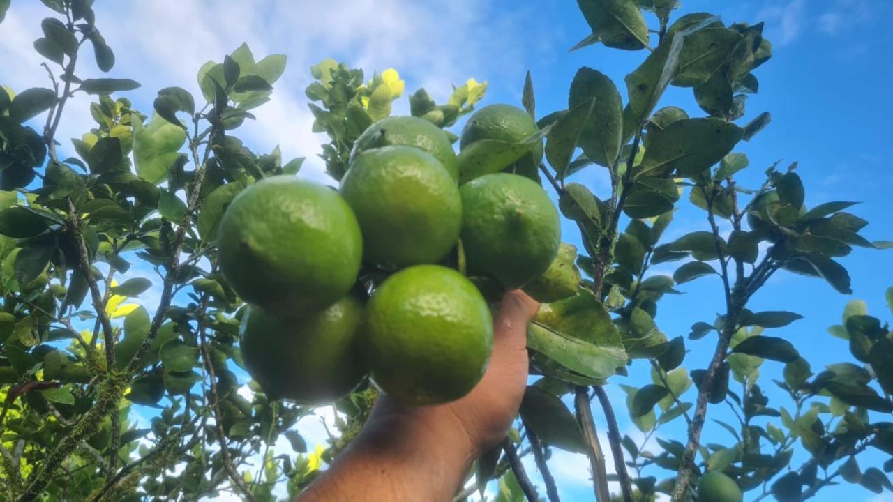 Hospedaje Finca Agroturistica Dona Rufa Rio Sereno ภายนอก รูปภาพ