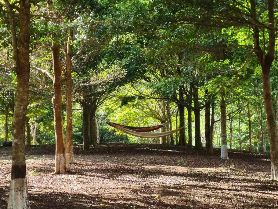 Hospedaje Finca Agroturistica Dona Rufa Rio Sereno ภายนอก รูปภาพ