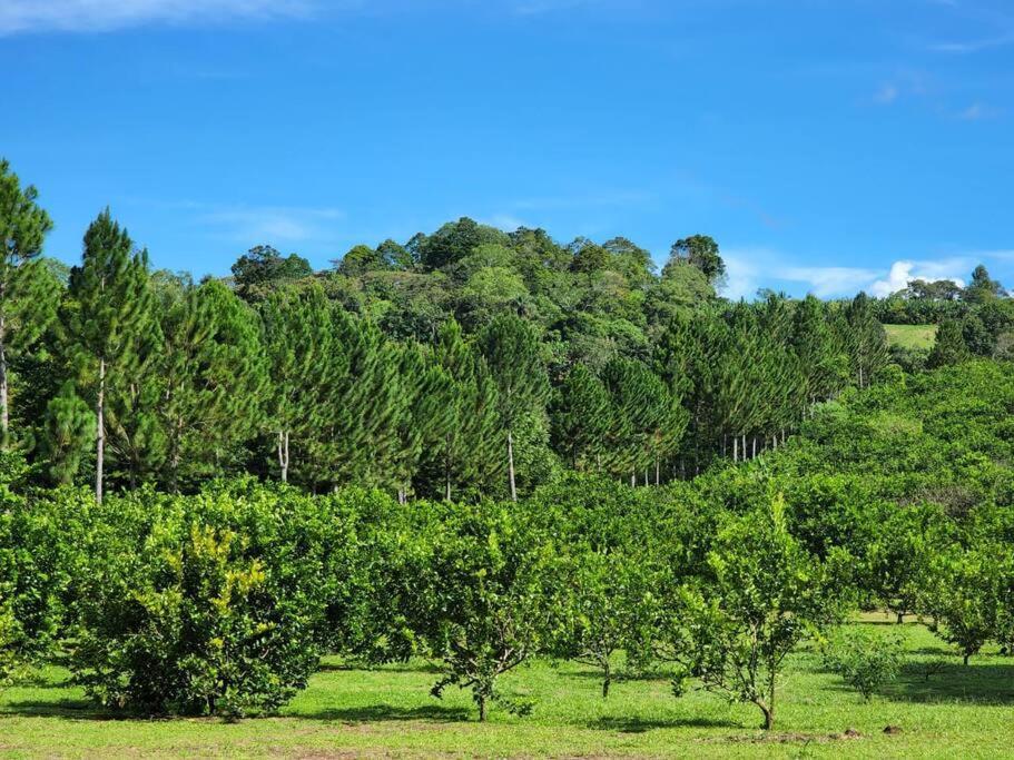Hospedaje Finca Agroturistica Dona Rufa Rio Sereno ภายนอก รูปภาพ