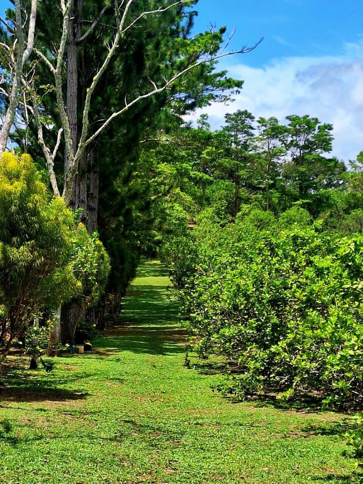 Hospedaje Finca Agroturistica Dona Rufa Rio Sereno ห้อง รูปภาพ